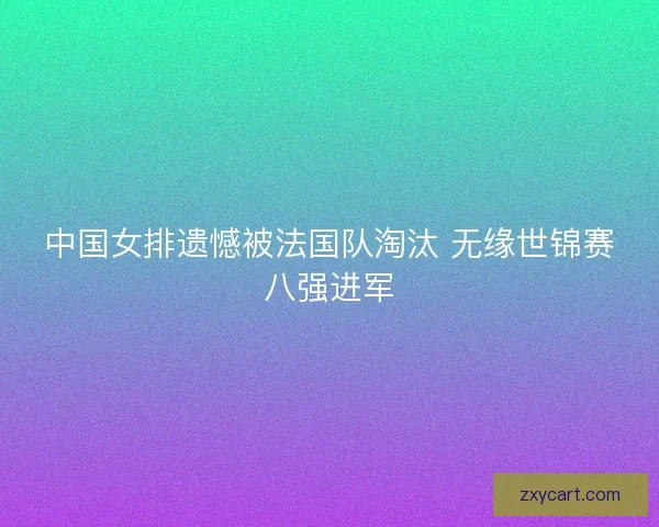 中国女排遗憾被法国队淘汰 无缘世锦赛八强进军