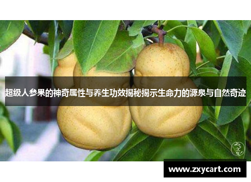 超级人参果的神奇属性与养生功效揭秘揭示生命力的源泉与自然奇迹